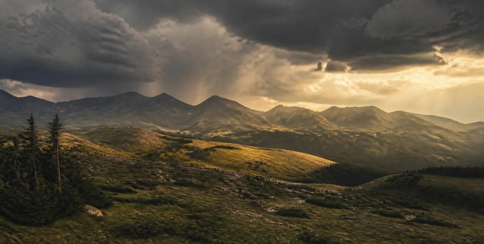 Green alpine tundra above treeline under towering storm clouds, with shafts of evening light.